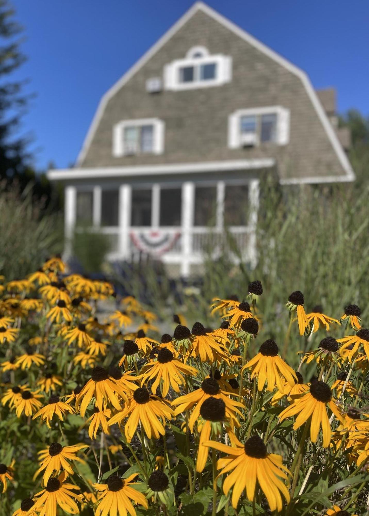 White Sails Inn Kennebunk Eksteriør bilde